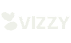 Vizzy