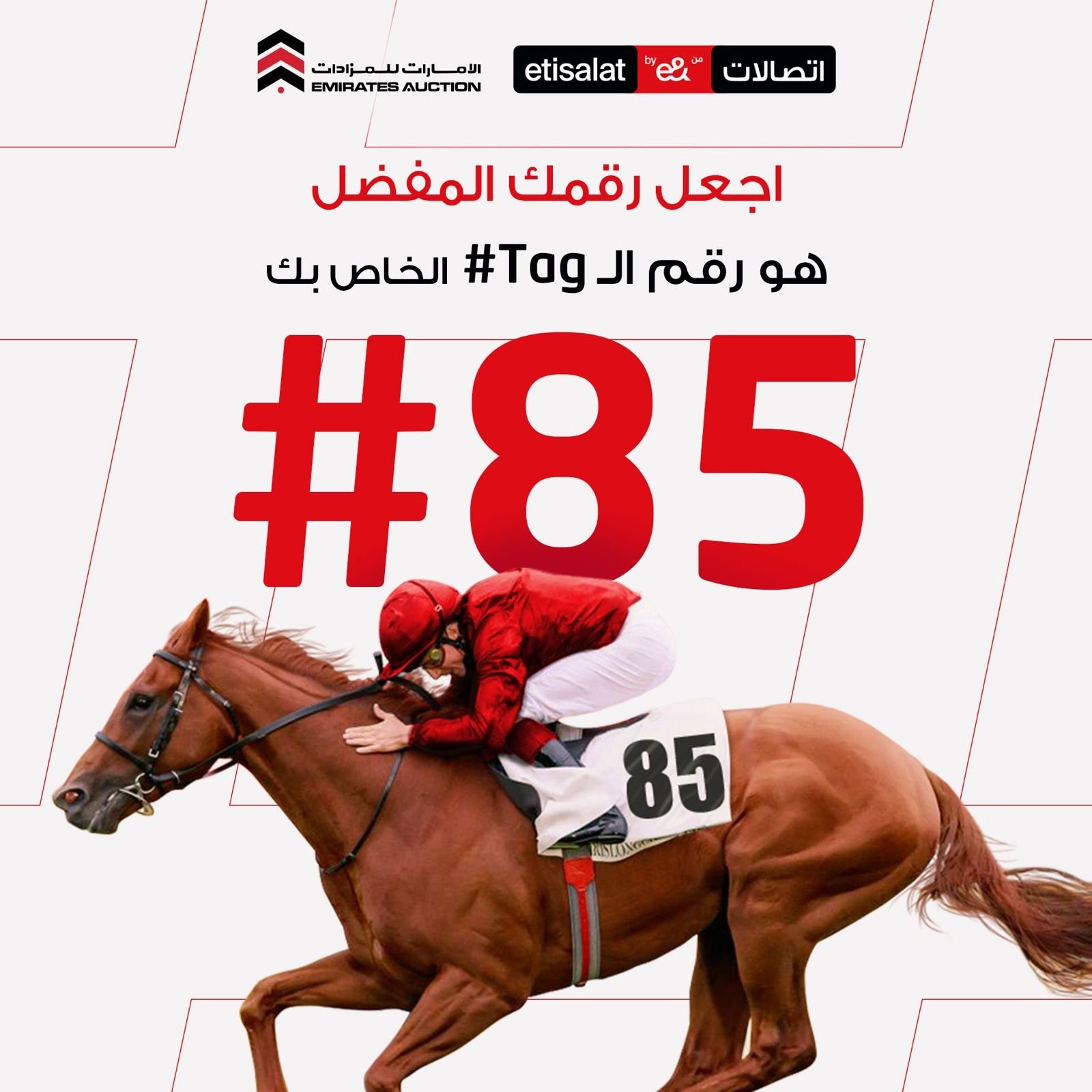 Racehorse and jockey, saddlecloth 85, with a large red #85