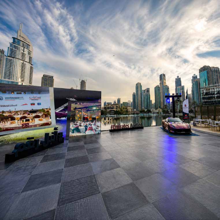 Emirates Auction — The Most Noble Number