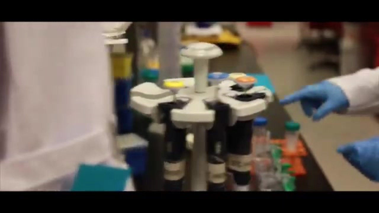 A frame from the documentary — research pipettes and lab work