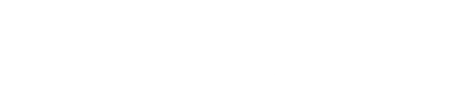 Zewail City of Science and Technology